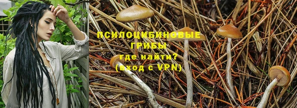 гидра Верхнеуральск